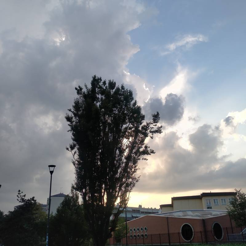 Fotosegnalazione di Torino santa rita