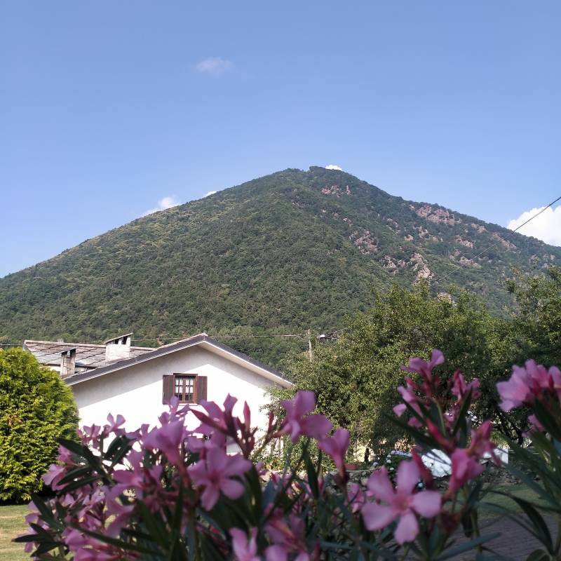 Monte senza dente