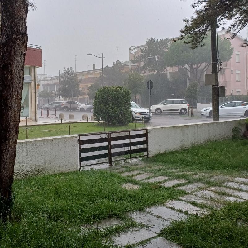 Fotosegnalazione di Porto garibaldi
