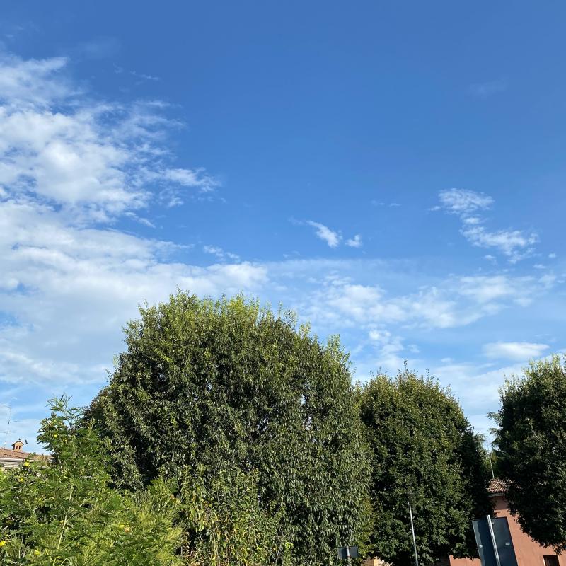 Fotosegnalazione di Podenzano