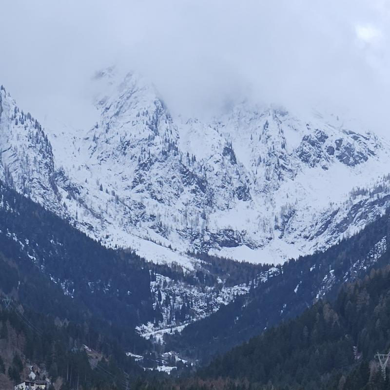 Fotosegnalazione di Temu'