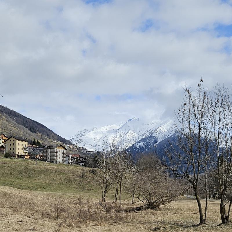 Fotosegnalazione di Temu'