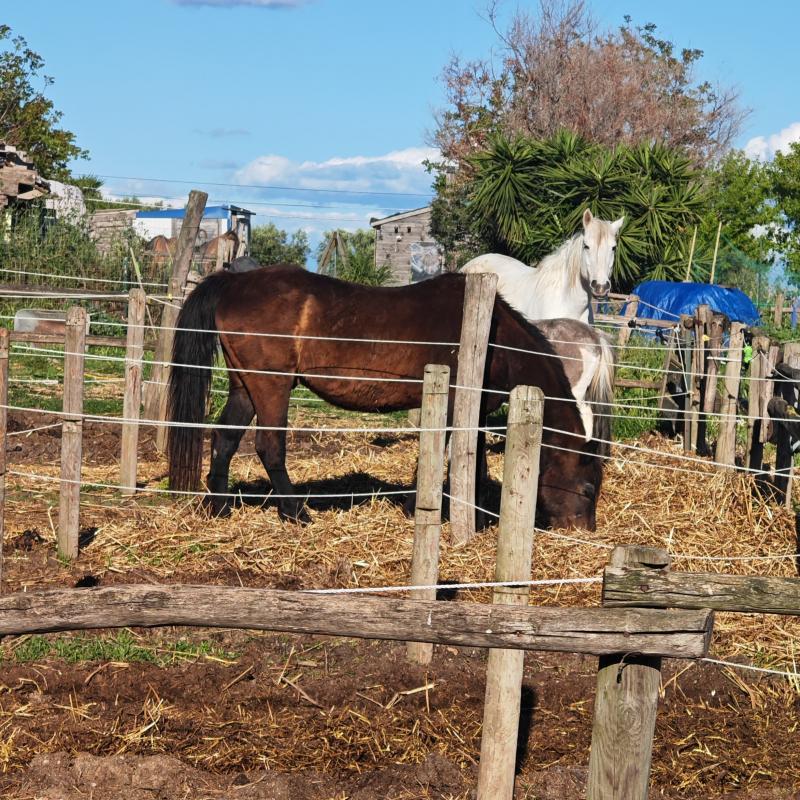 Fotosegnalazione di Cerveteri