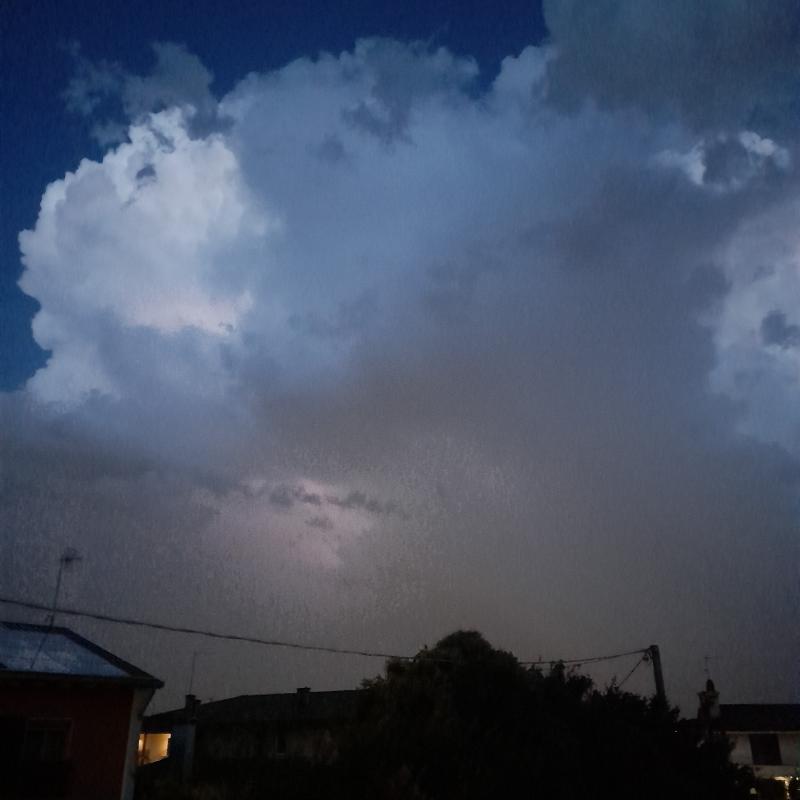 Fotosegnalazione di Trevignano