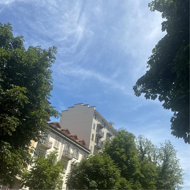 Fotosegnalazione di Torino san salvario