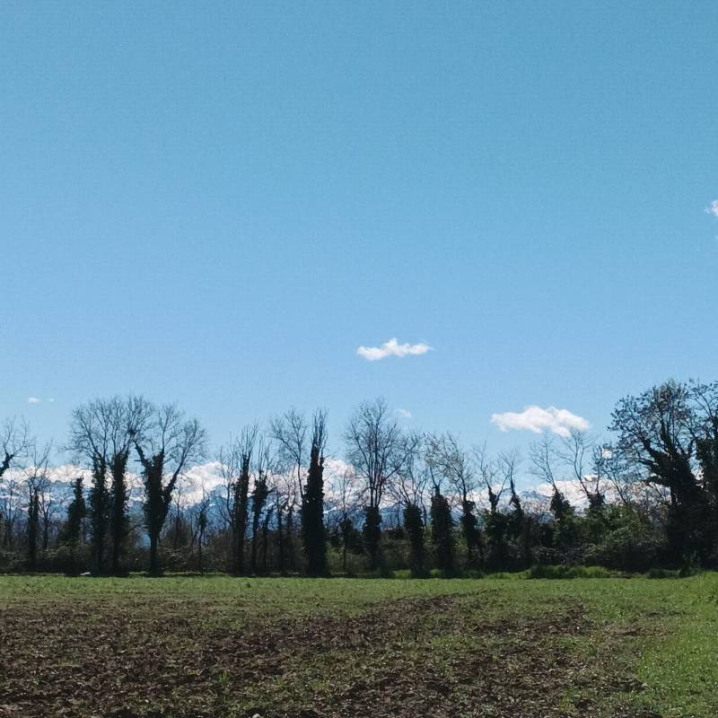 Fotosegnalazione di Cervere