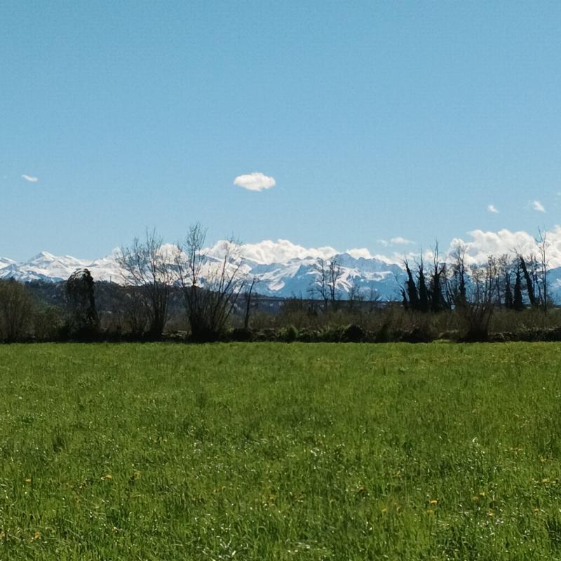 Fotosegnalazione di Salmour