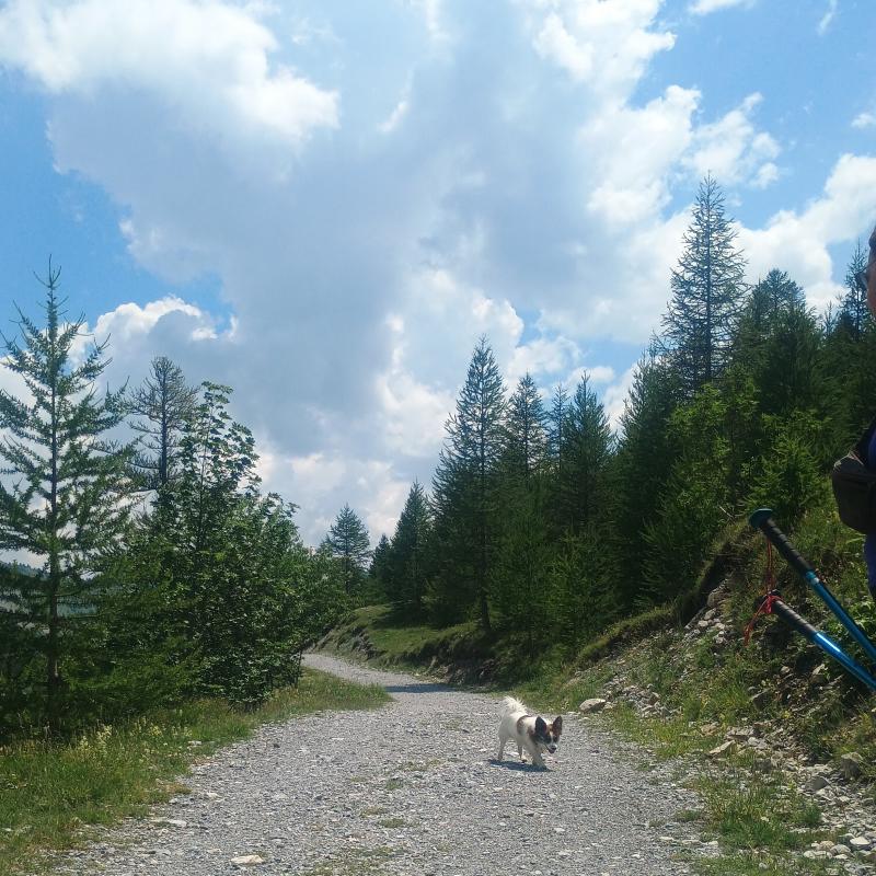 Fotosegnalazione di Chiappera