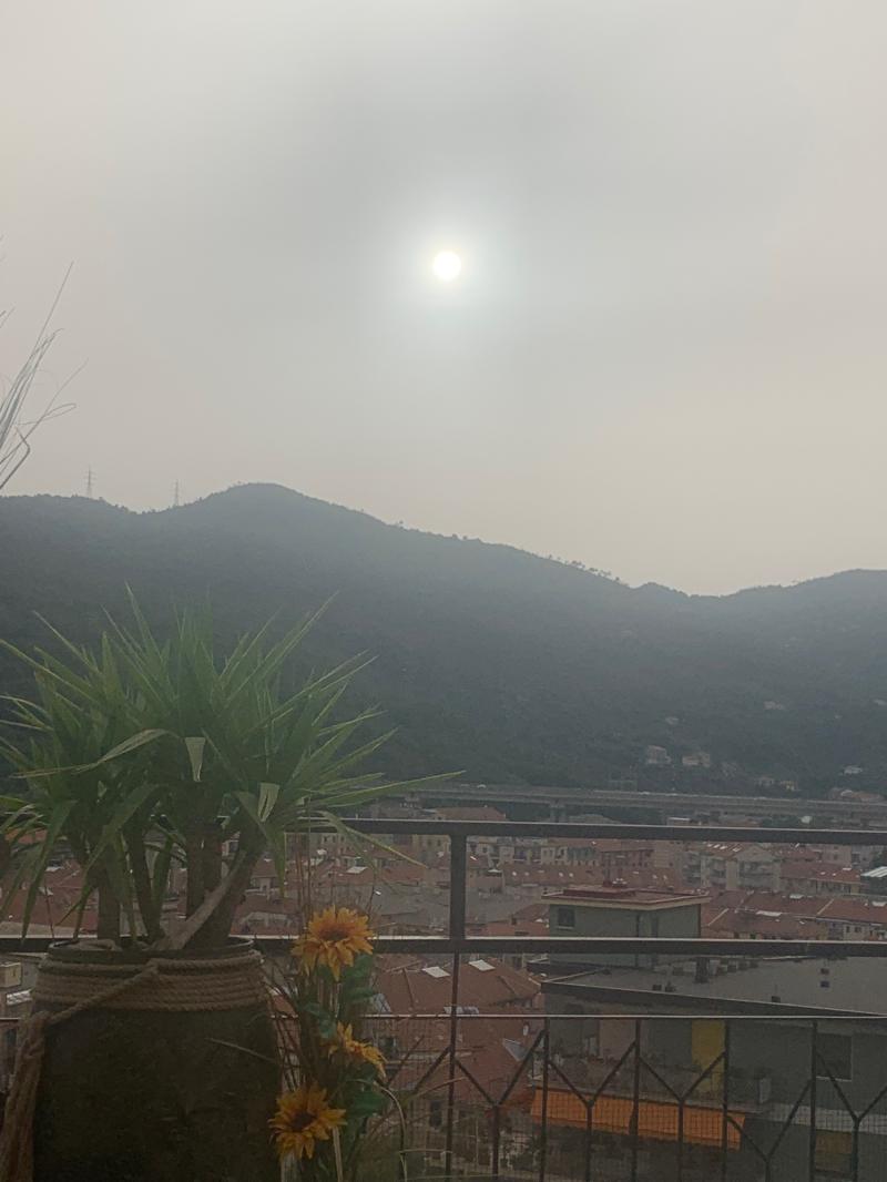 Fotosegnalazione di Savona centro urbano