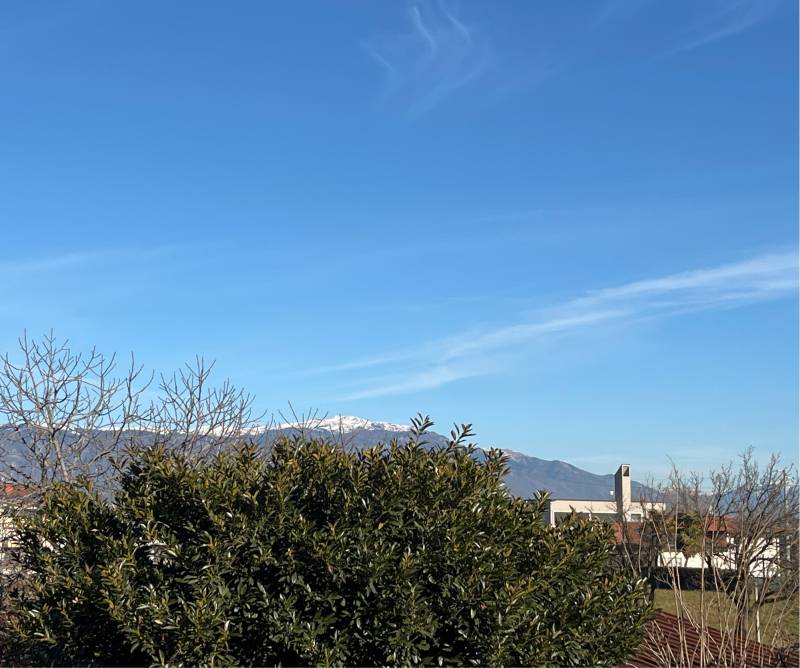 Fotosegnalazione di Nove