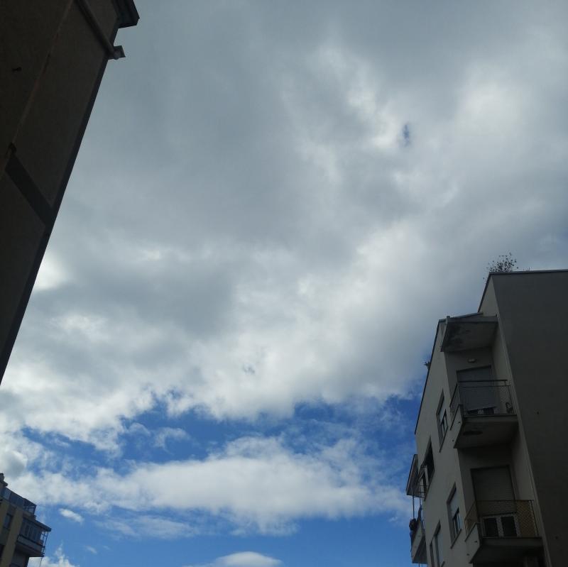 Oggi savona