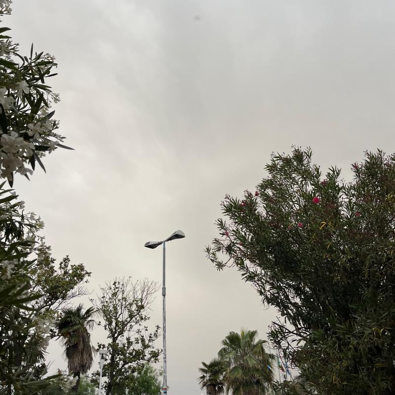 Tutto il giorno a dire velature estese ora addirittura piove