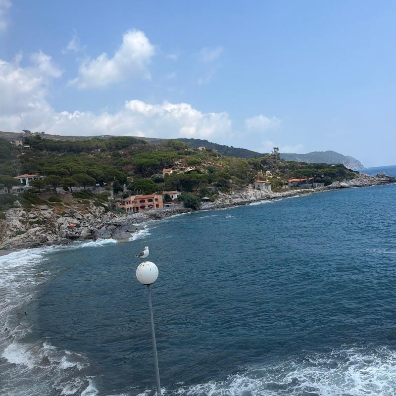 Menomale che mare poco mosso .