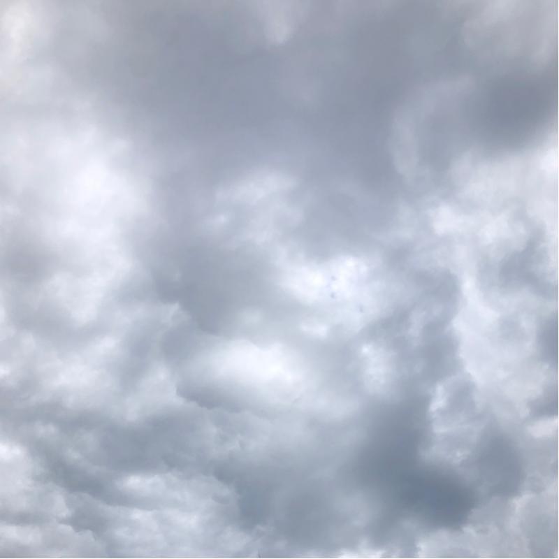Fotosegnalazione di Genova quinto al mare