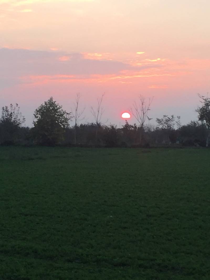 tramonto nelle campagne 