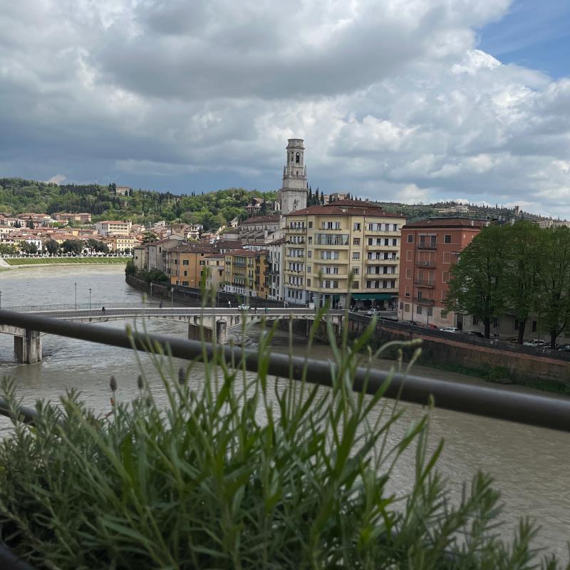 Fotosegnalazione di Verona borgo trento - ponte crencano