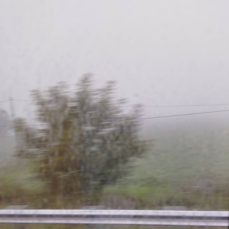 Fotosegnalazione di Musile di piave
