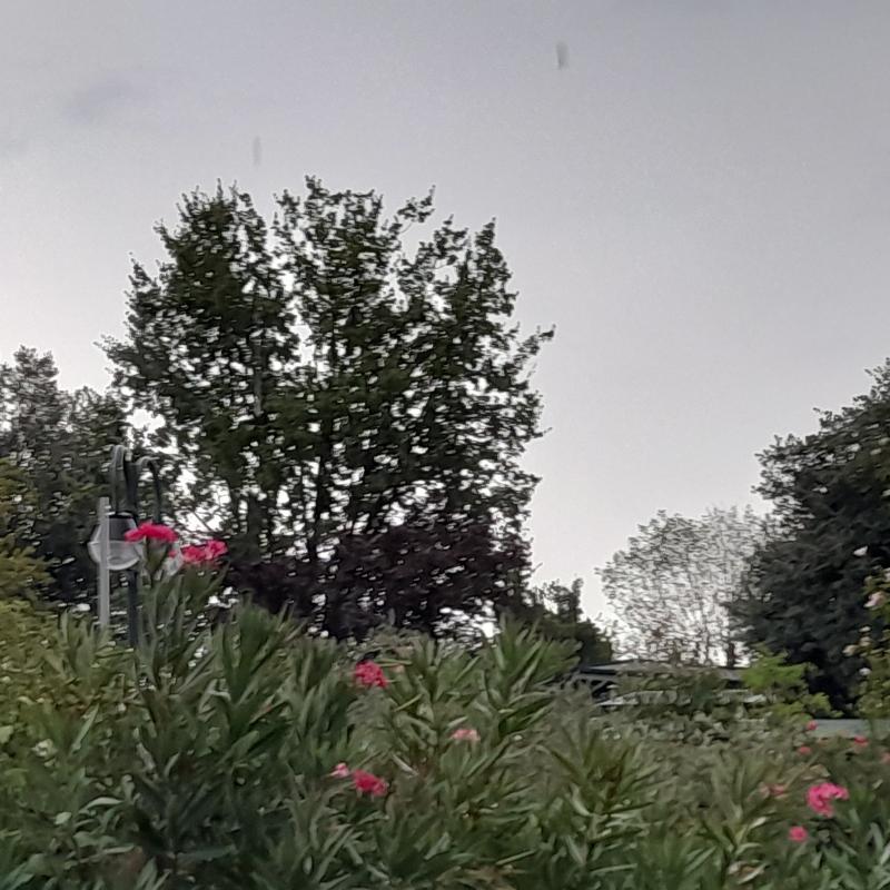 Fotosegnalazione di Figline e incisa valdarno