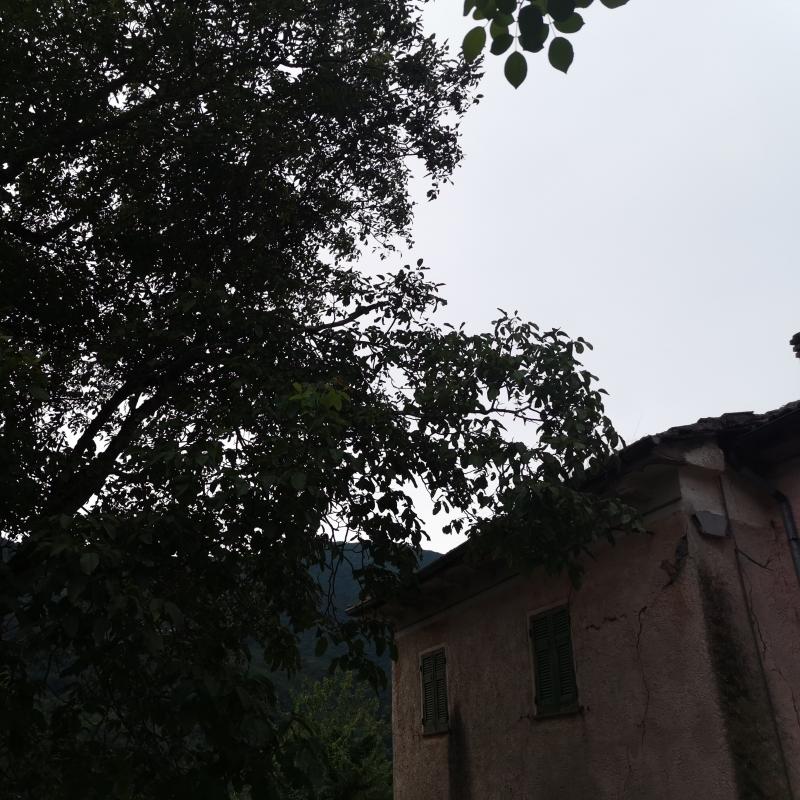 Fotosegnalazione di Ottone