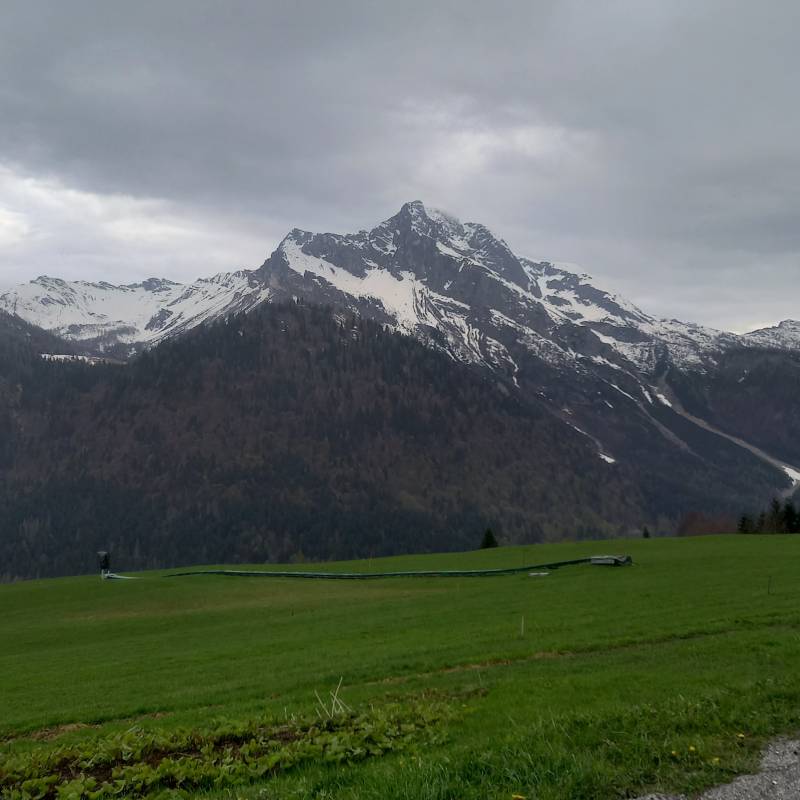 Piove abbastanza la previsione dell'app errata..
