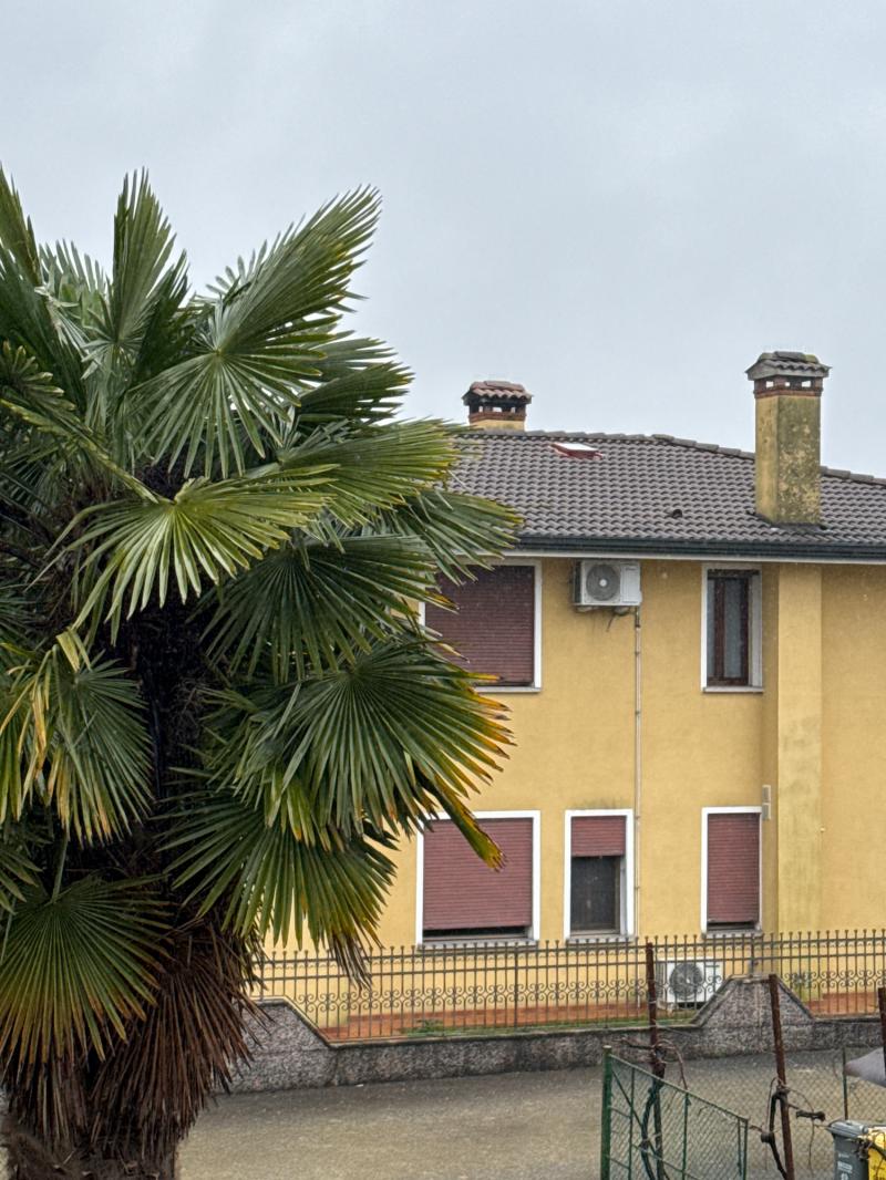 Fotosegnalazione di Treviso sud