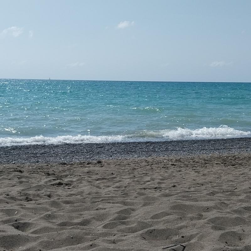 Fotosegnalazione di Bibbona