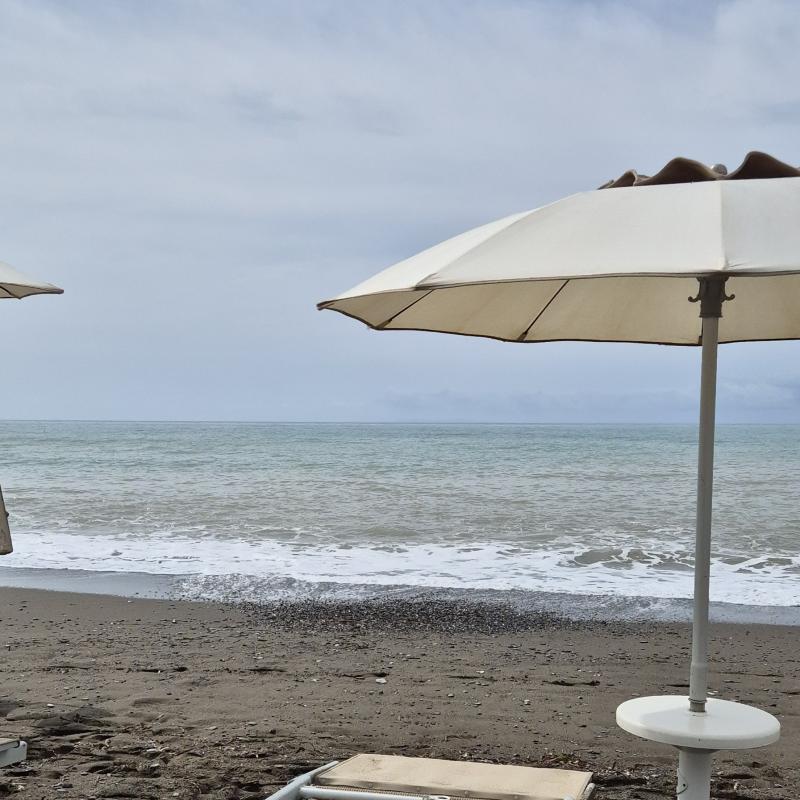 Fotosegnalazione di Bibbona