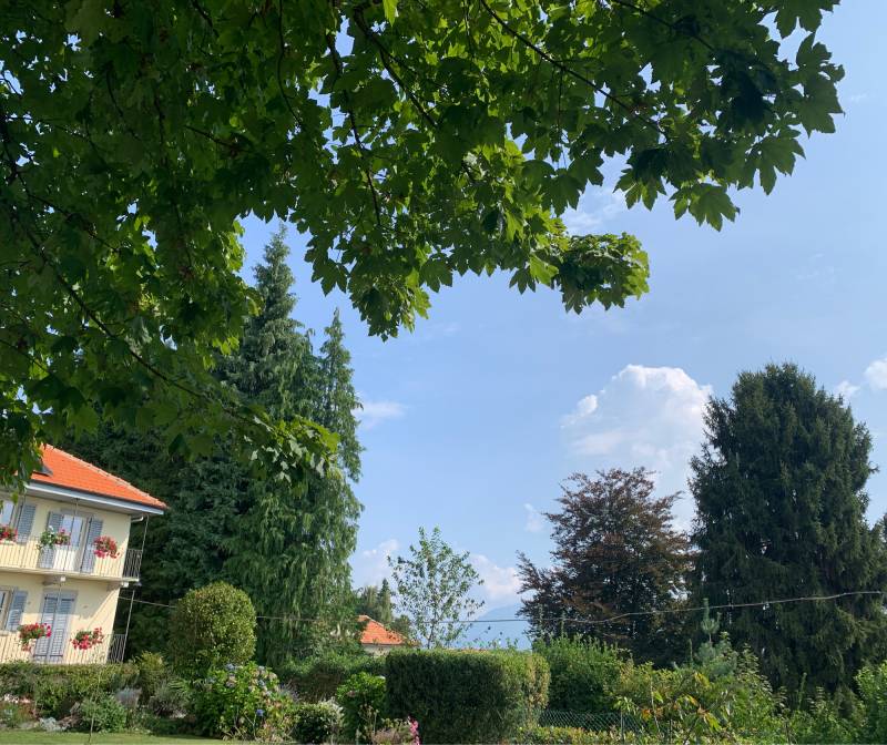 Fotosegnalazione di Madonna del sasso