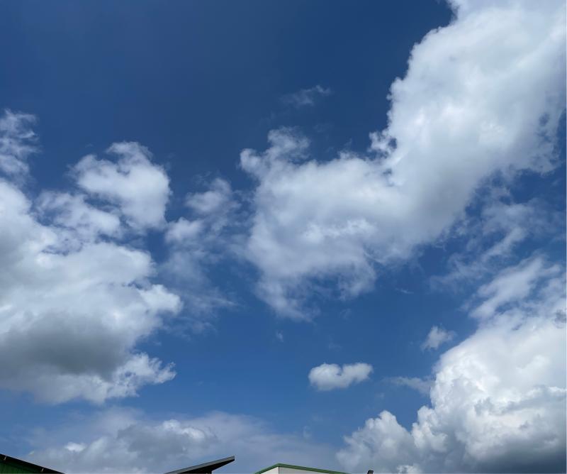 Fotosegnalazione di Montebelluna