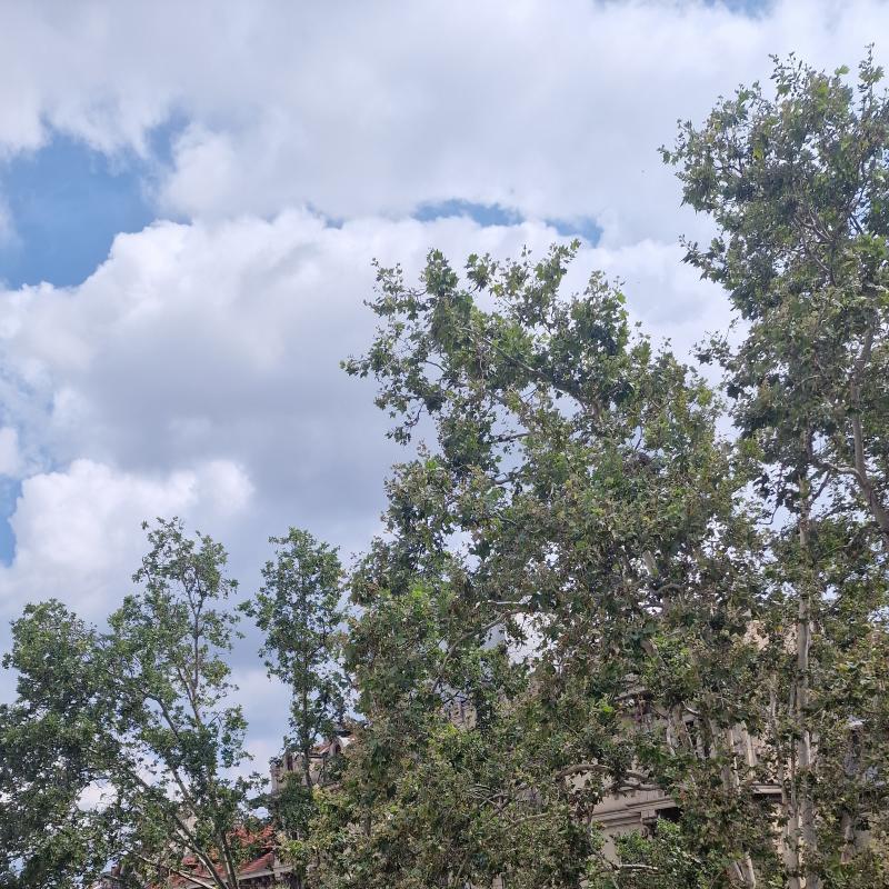 Dalla finestra di casa