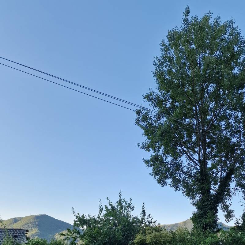 Fotosegnalazione di Varese ligure