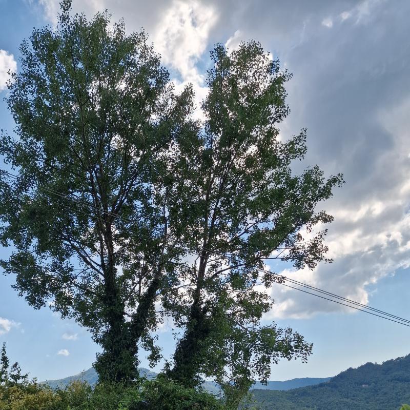 Fotosegnalazione di Varese ligure