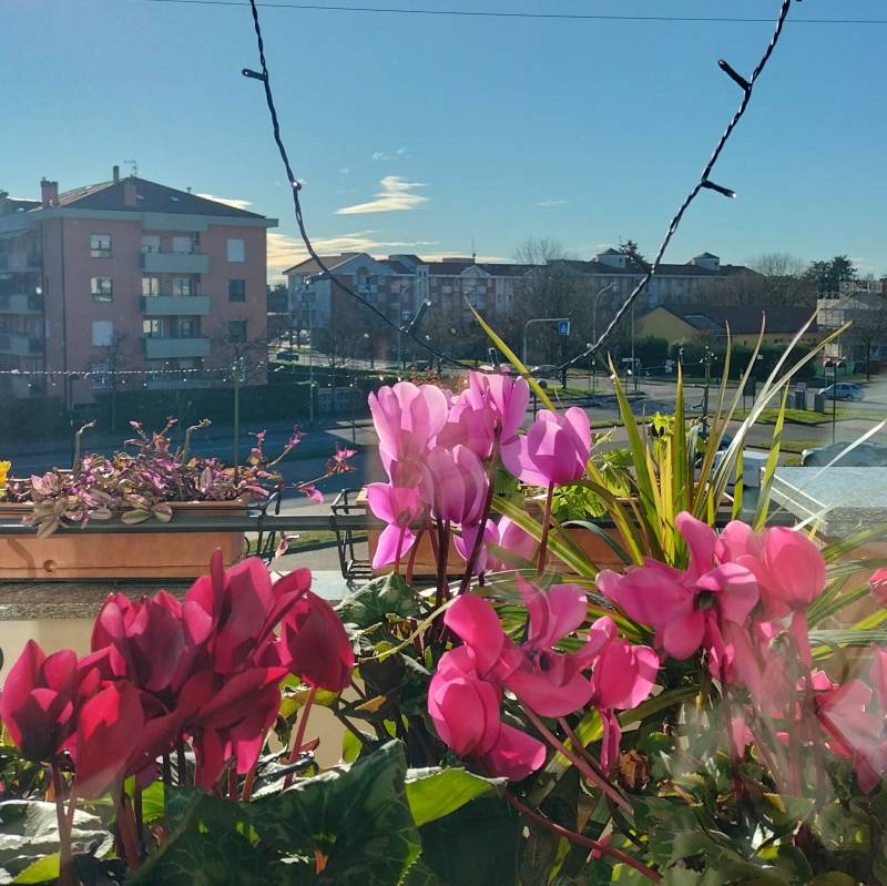 Giornata ventosa