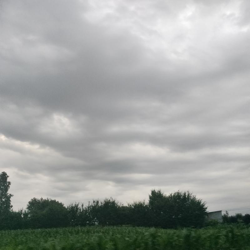 Fotosegnalazione di Montebelluna