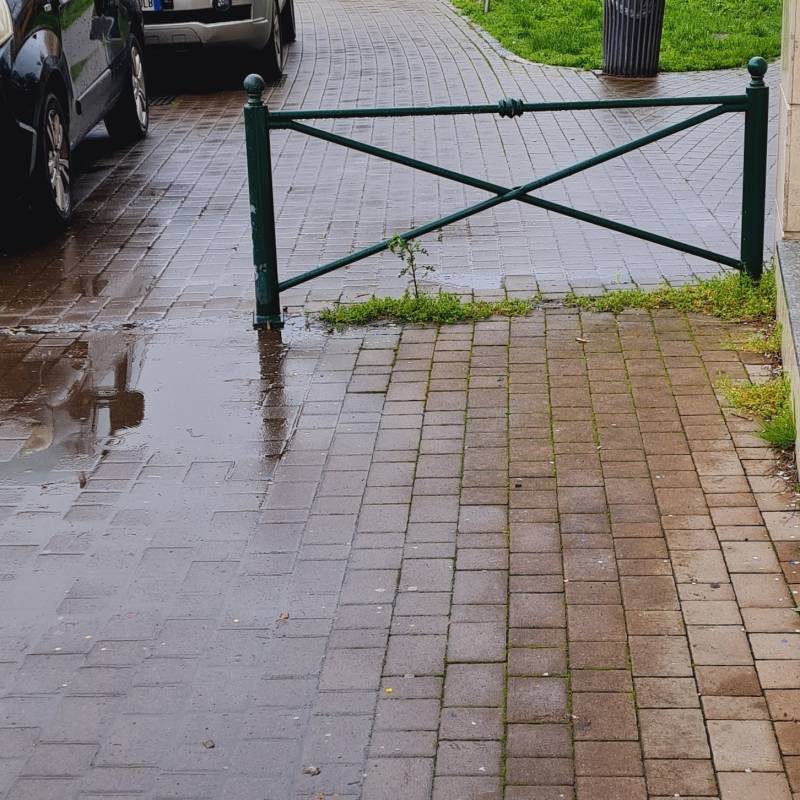Fotosegnalazione di Segrate