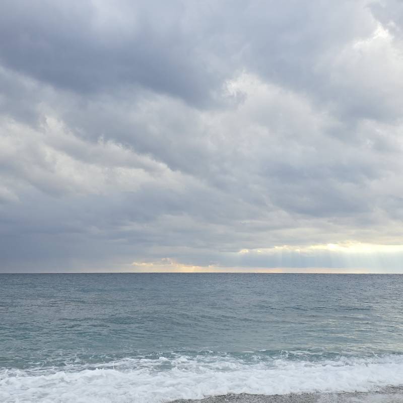 Fotosegnalazione di Deiva marina