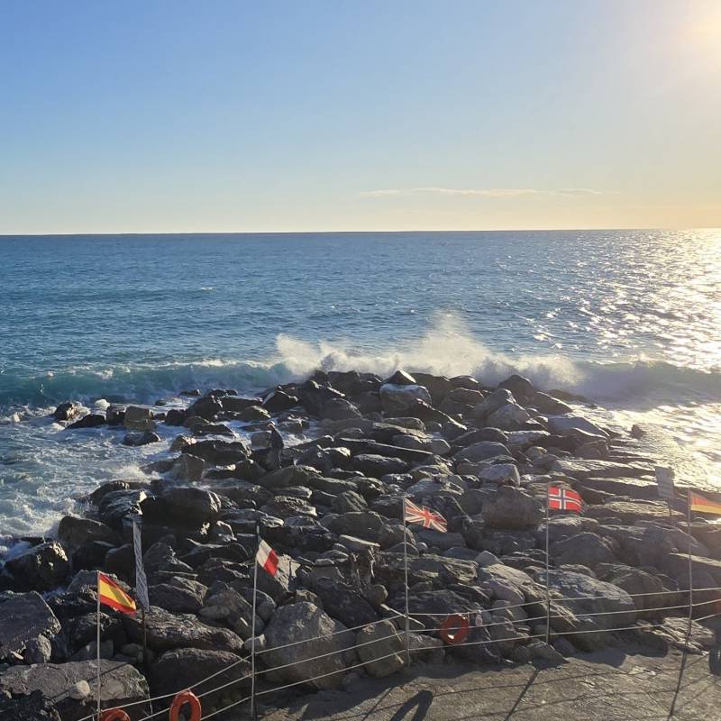 Fotosegnalazione di Deiva marina