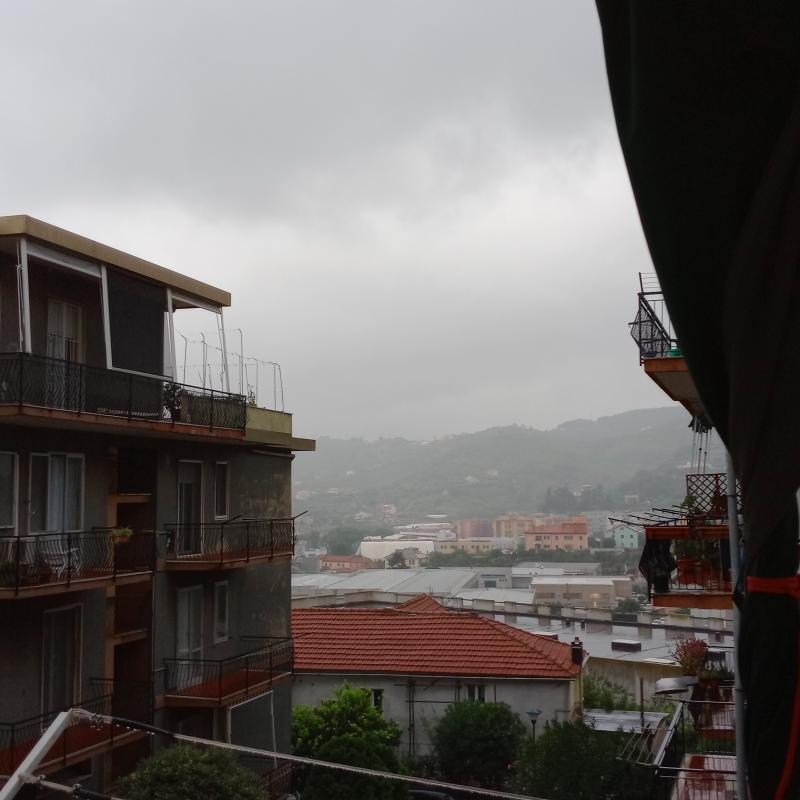 Fotosegnalazione di Savona centro urbano