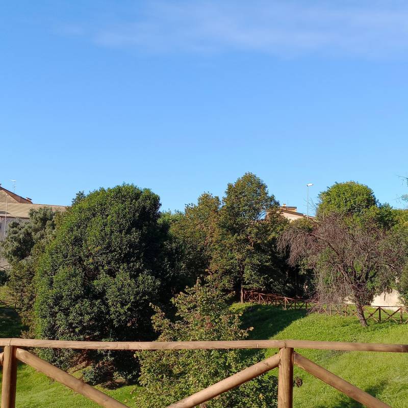 Fotosegnalazione di Savona centro urbano