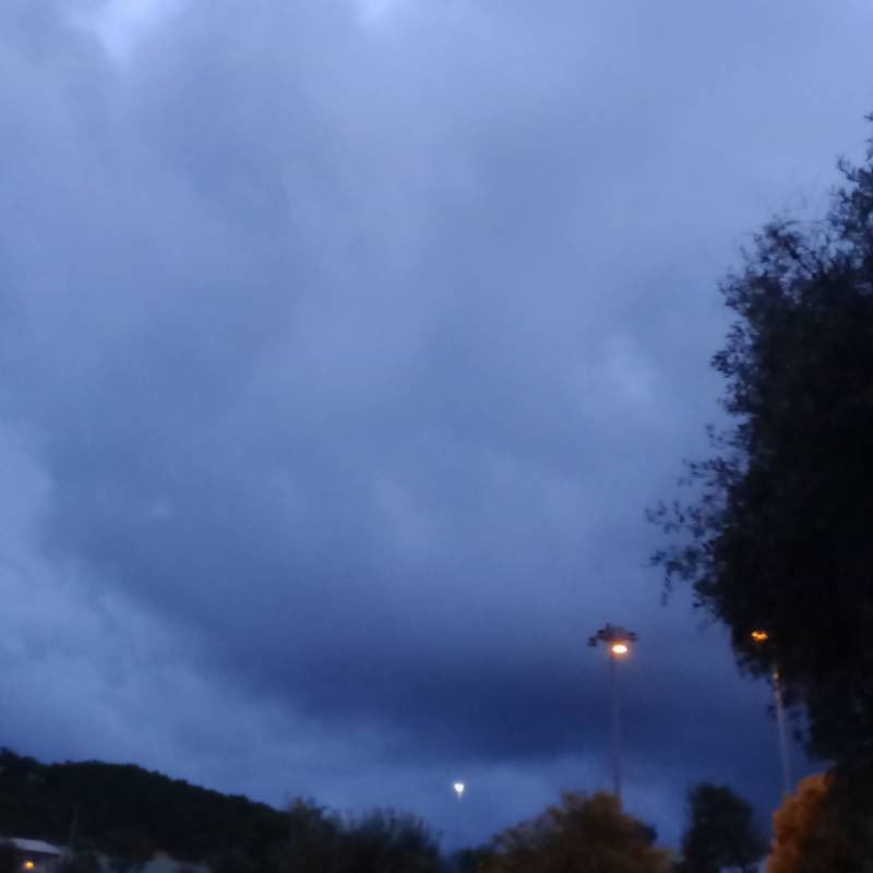 Fotosegnalazione di Savona centro urbano