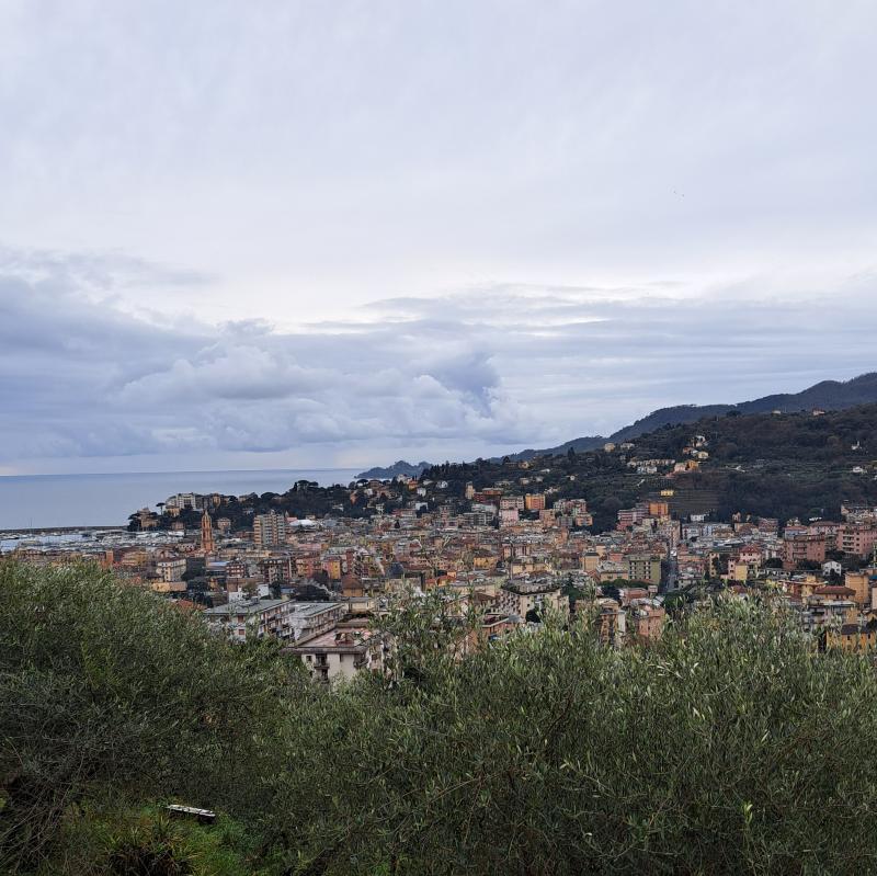 Fotosegnalazione di Rapallo