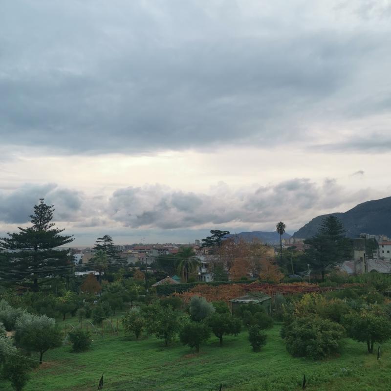 Fotosegnalazione di Palermo villagrazia - falsomiele