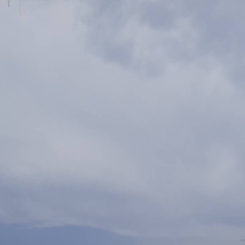 Fotosegnalazione di Palermo brancaccio - sperone