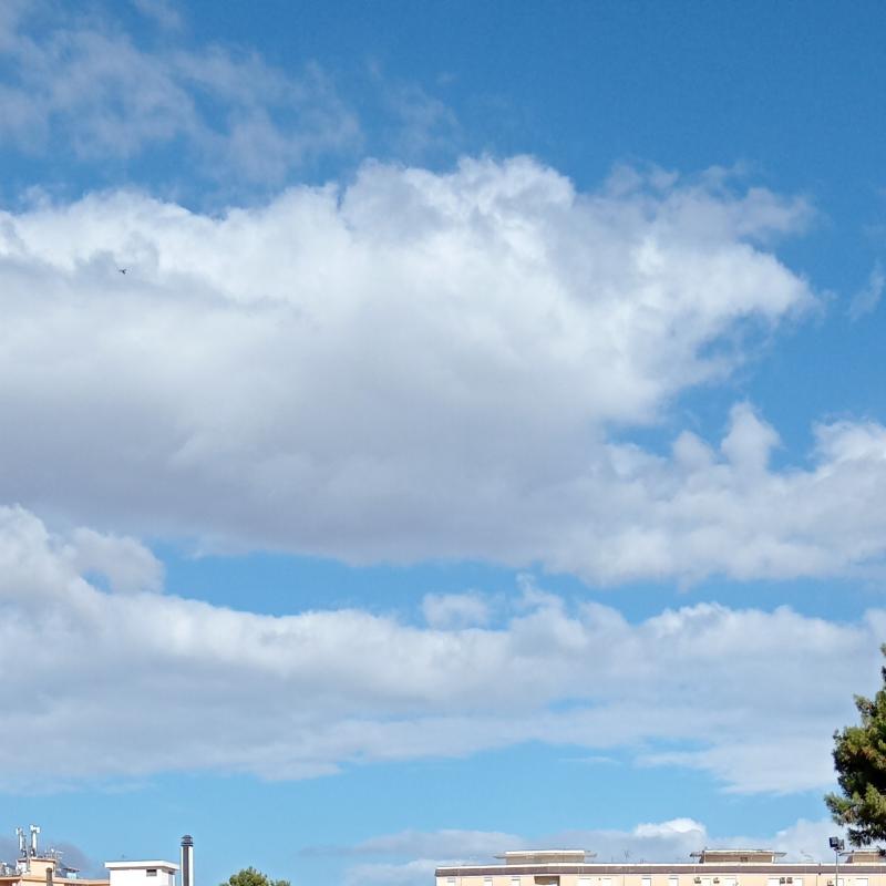 Fotosegnalazione di Palermo montegrappa - santa rosalia