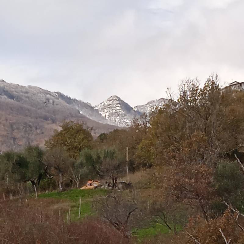 Neve sui monti
