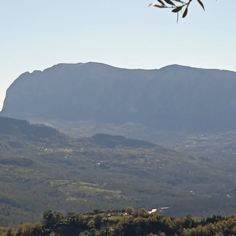 Fotosegnalazione di Laurito