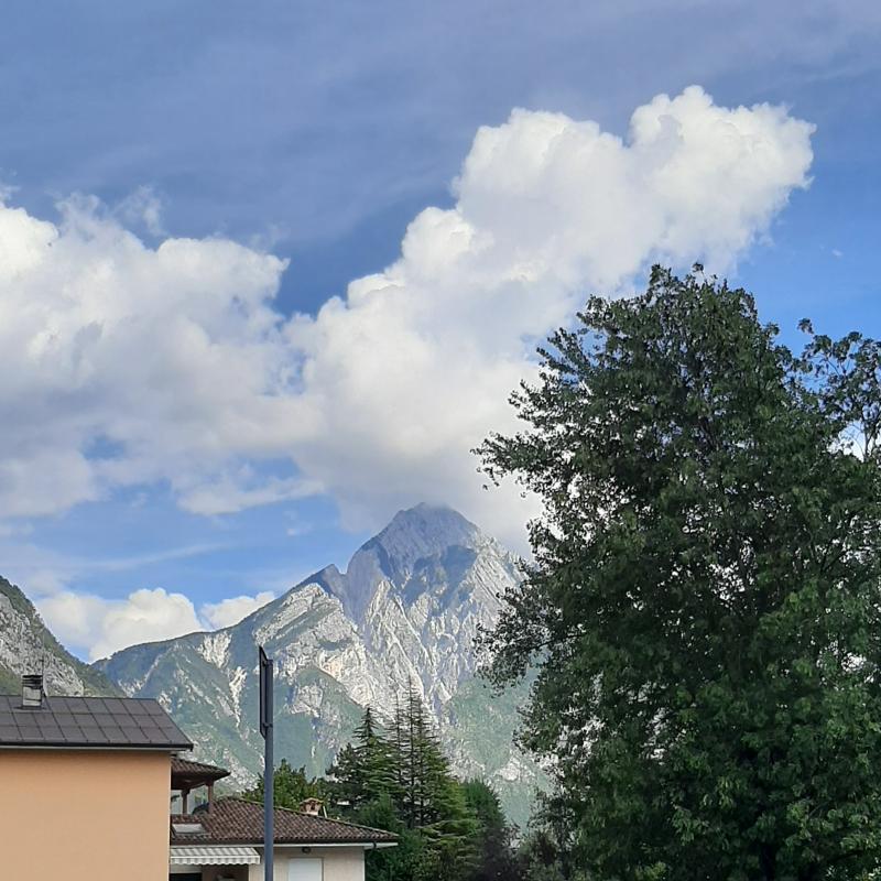 Fotosegnalazione di Tolmezzo