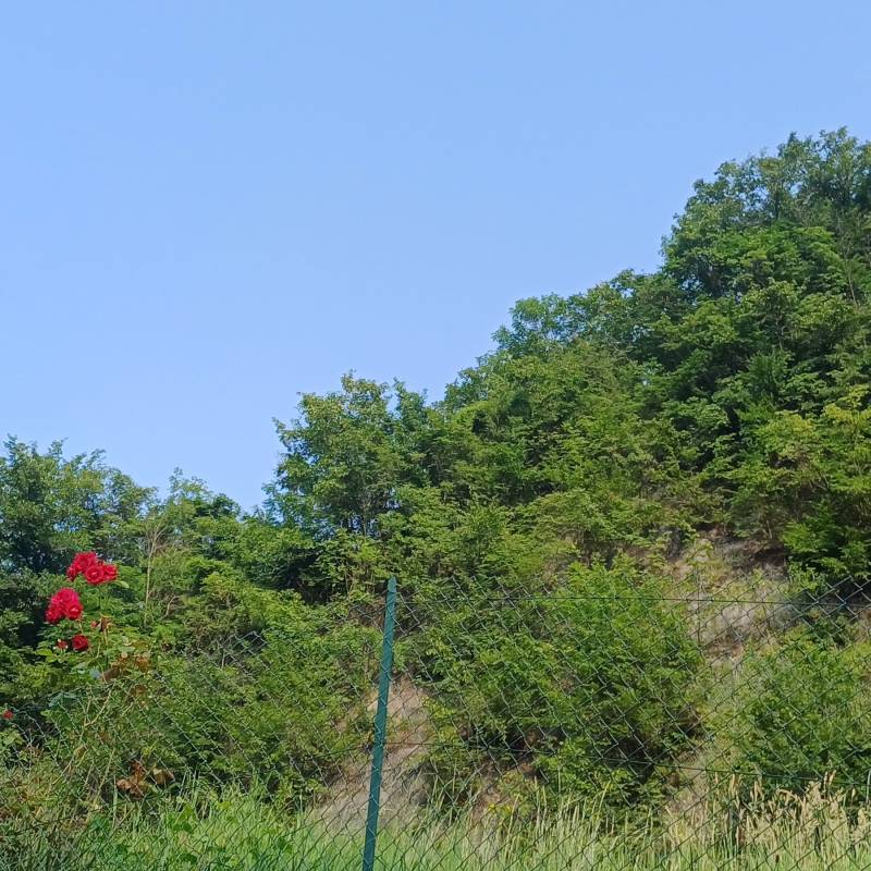 Fotosegnalazione di Villa d'alme'