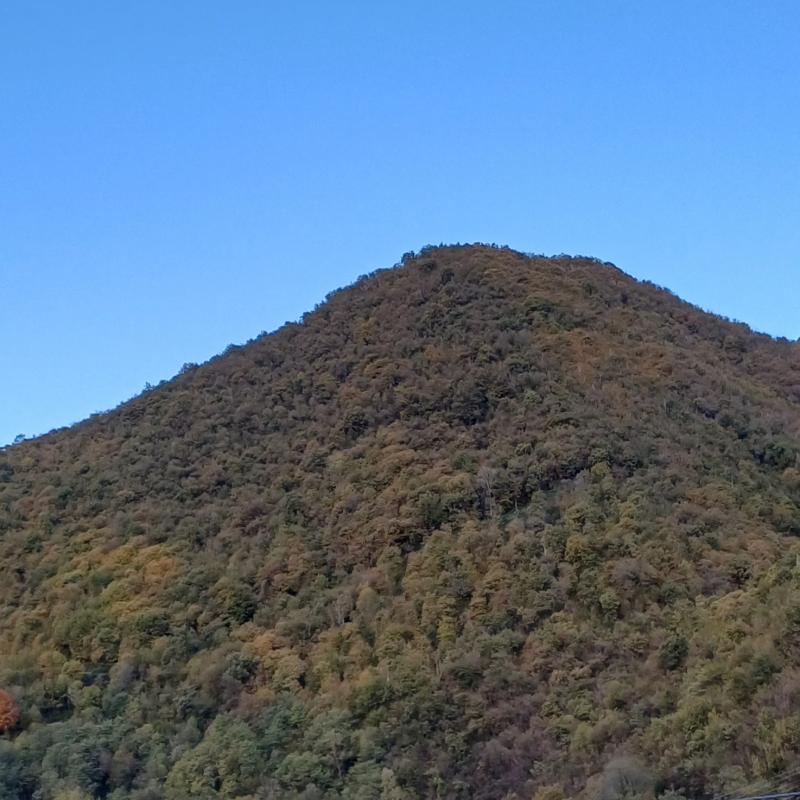 Fotosegnalazione di Villa d'alme'