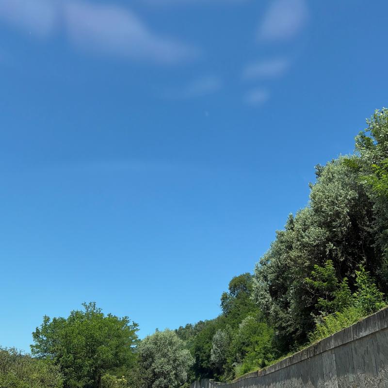 Fotosegnalazione di Varese periferia
